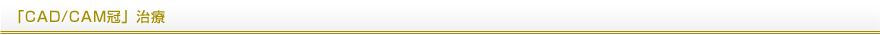 「CAD/CAM冠」治療