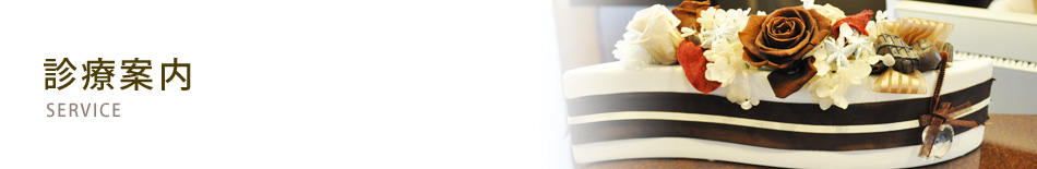 診療案内